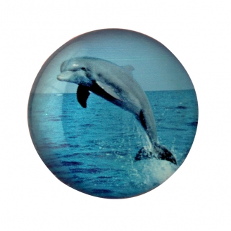 Glass Paperweight