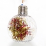 Christmas Tree LED ball