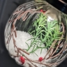 LED Shatterproof Transparentes Christmas Ball