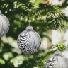 Customizable Plastic Ornaments with Water Transfer Printing for Party and Festival Use