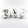 plastic transparent ball
